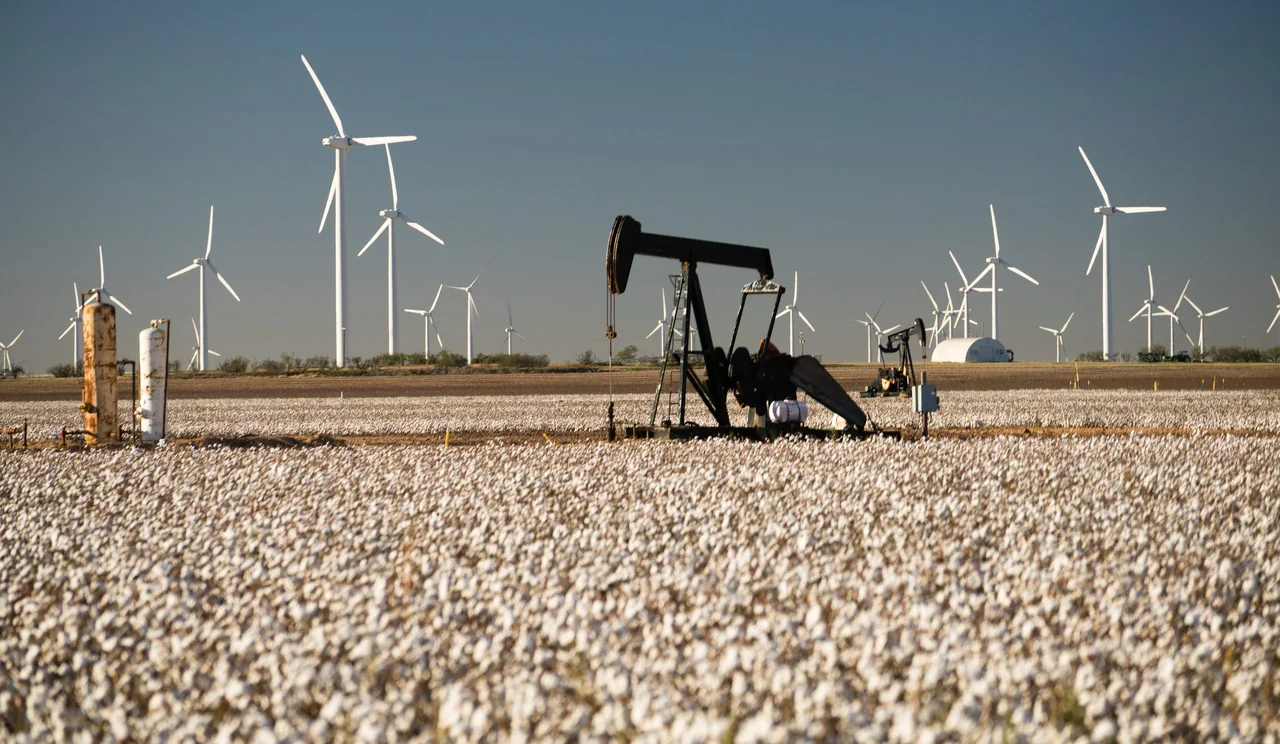 Pumpjack in a Texas cotton field