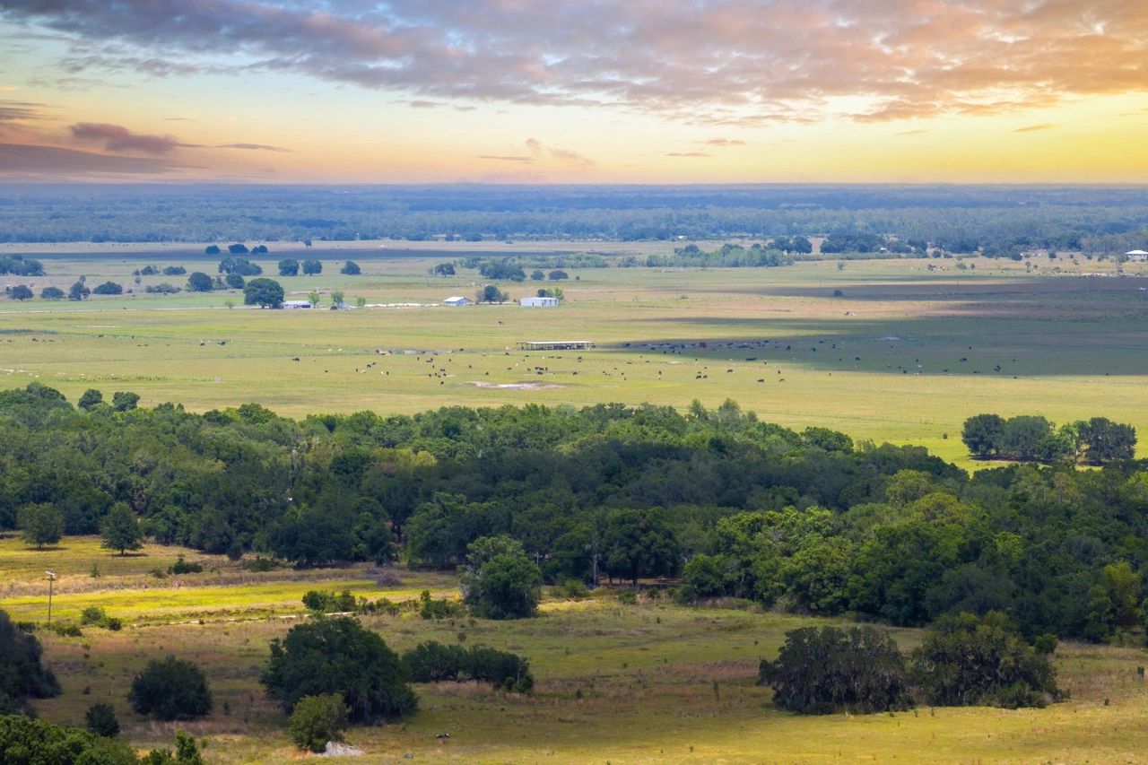 Texas Hill Country at sunset