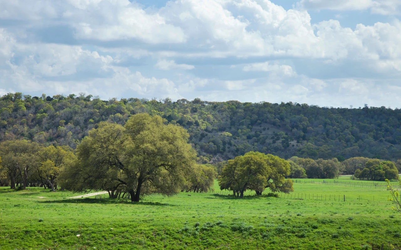 Texas Hill Country pasture