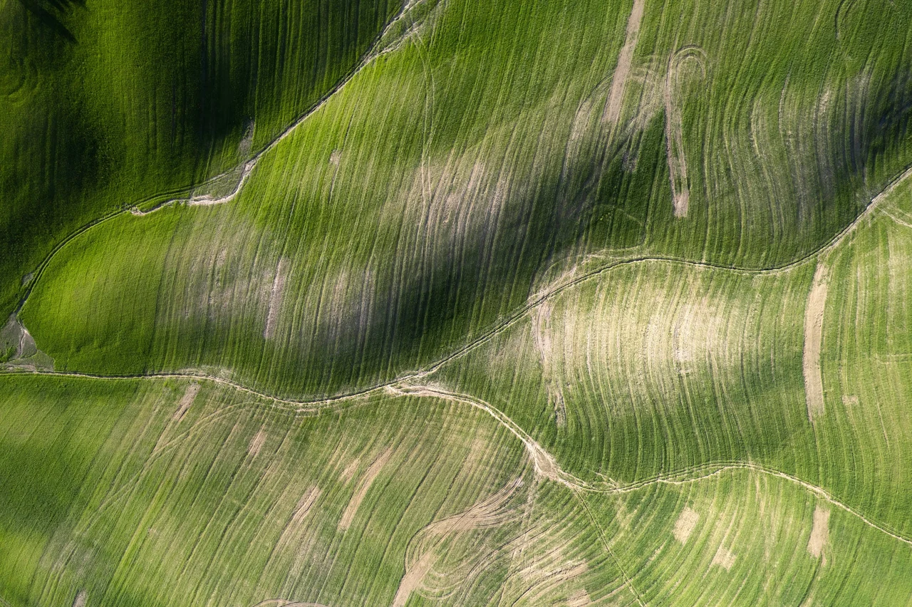 Aerial view of farmland