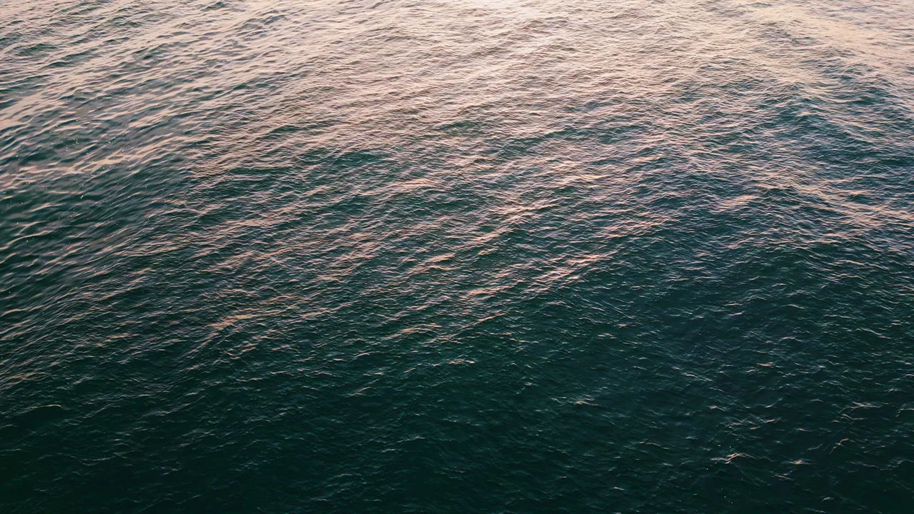 Water surface